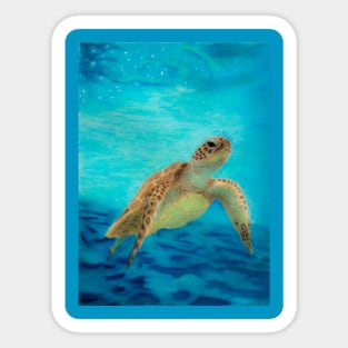 Sea Turtle Sticker